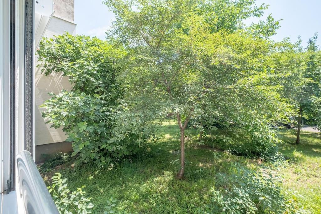 Top Location, Brand New 3 Bdrm Apt & Free Parking София Экстерьер фото