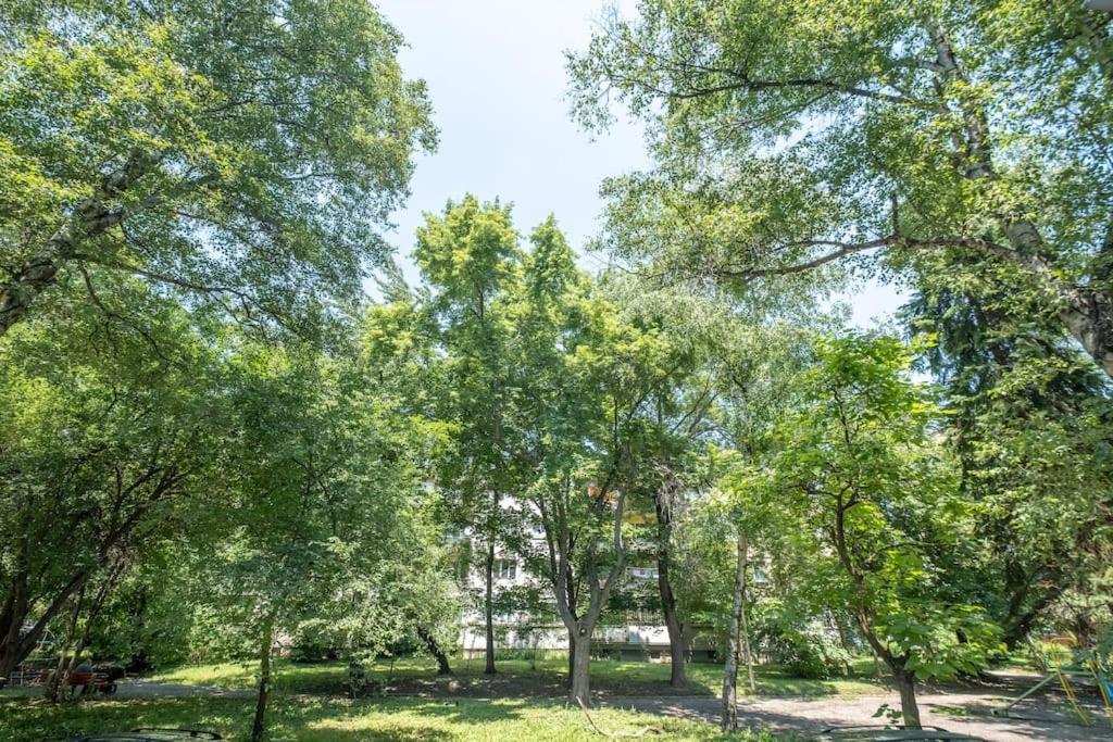 Top Location, Brand New 3 Bdrm Apt & Free Parking София Экстерьер фото